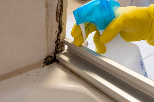 Best Emergency Mold Removal  in Owings Mills, MD