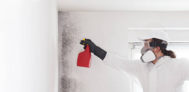 Best Crawl Space Mold Removal  in Owings Mills, MD