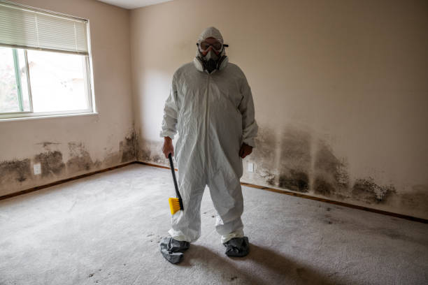Mold Removal and Inspection in Owings Mills, MD